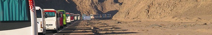 Karawane durch die gyptische Wste - gyptische Wste (Nahe Luxor - EG) - 28 08 2004, 06:22 Uhr