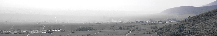 Regen auf dem Vormarsch - Schloss Hambach (Neustadt an der Weinstrae - DE) - 07 06 2009, 12:44 Uhr