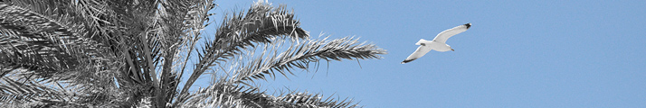 Gleitflug - Unterwegs (Zarzis - TN) - 28 03 2014, 12:09 Uhr